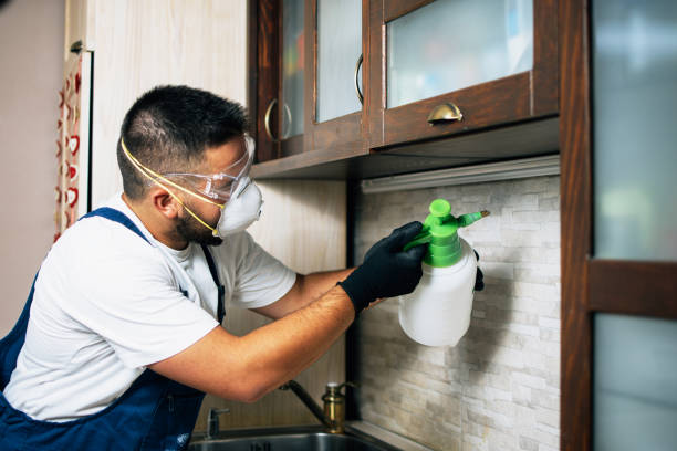 Pest Prevention Services in Fort Smith, AR
