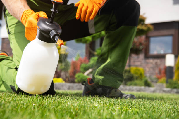 Best Flea Control Services  in Fort Smith, AR