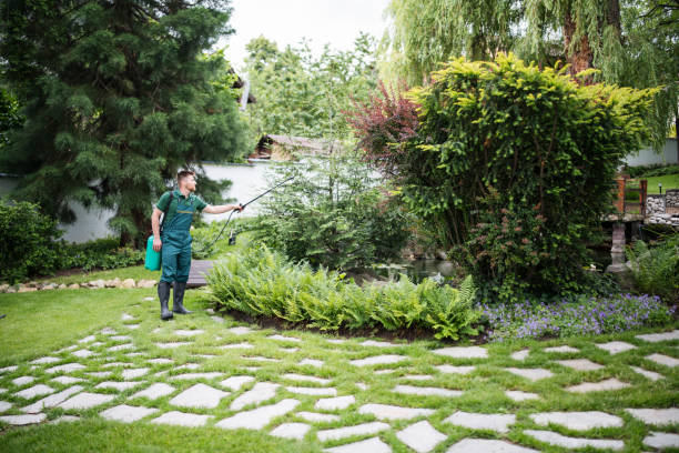 Best Mosquito Control Services  in Fort Smith, AR