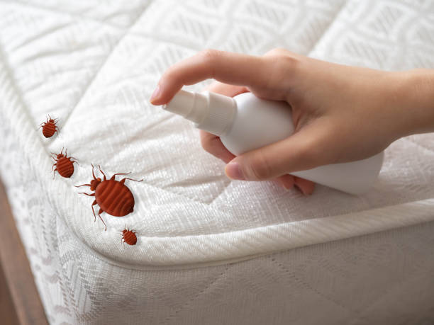 Best Commercial Pest Control Services  in Fort Smith, AR