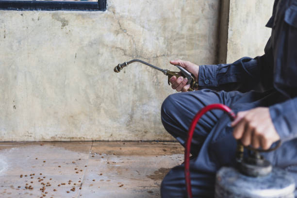 Best Local Pest Control Services  in Fort Smith, AR