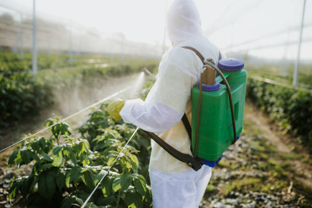 Best Best Pest Control Companies  in Fort Smith, AR
